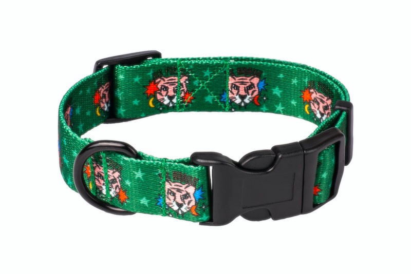 Obroża dla psa Tiger| PETZWELCOME