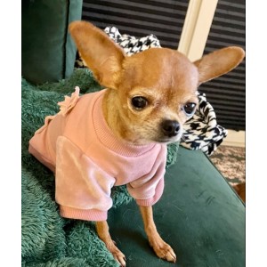 Bluza dla psa VELVET różowa | Chloe's Home | PETZWELCOME