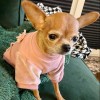 VELVET pink dog sweatshirt