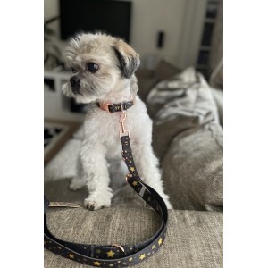 Adjustable leash Stars gold buckles | Lauren Design | PETZWELCOME