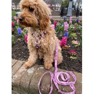 Różowa smycz miejska dla psa Motylki