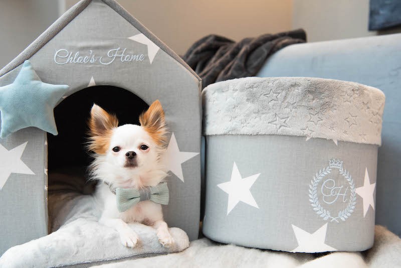 Dog and cat bed Los Angeles mint | Chloe's Home | PETZWELCOME
