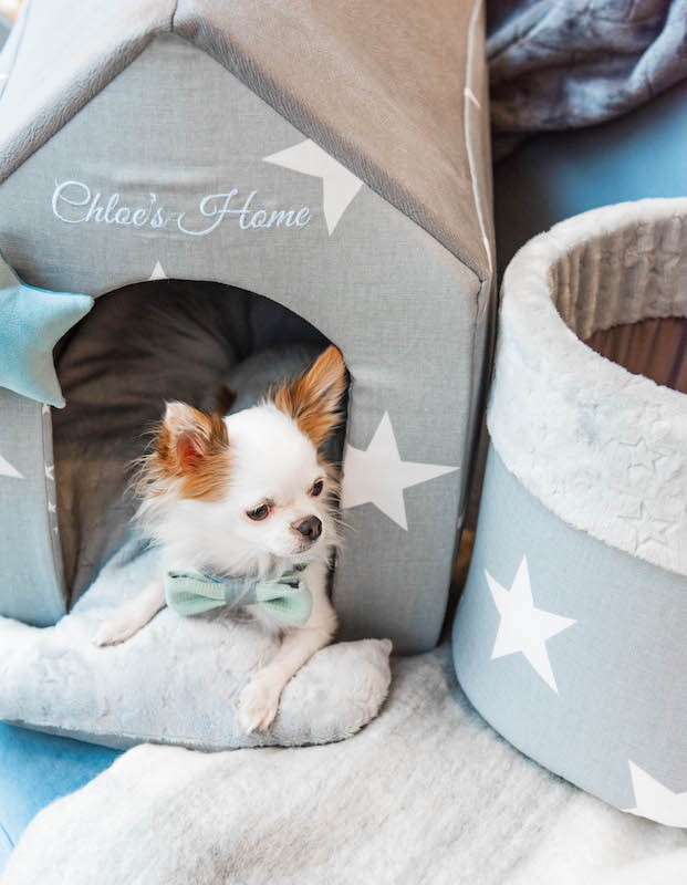 Budka dla psa i kota Los Angeles szara | Chloe's Home | PETZWELCOME