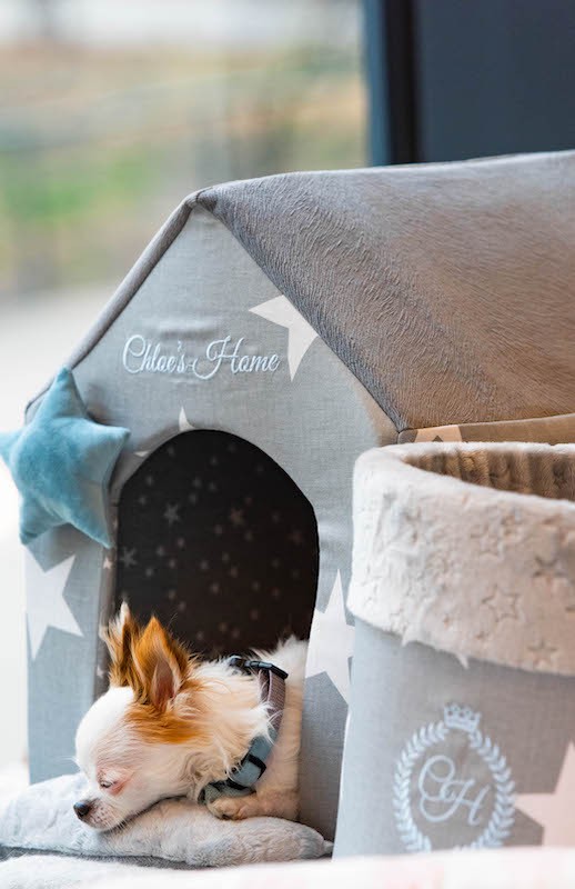Dog and cat bed Los Angeles gray | Chloe's Home | PETZWELCOME