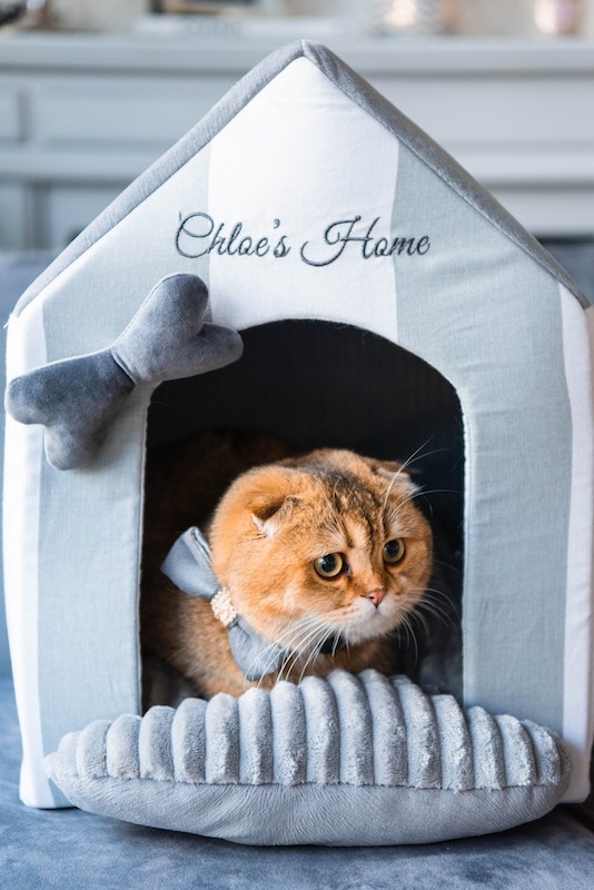 Budka dla psa lub kota MONTE CARLO czarna | Chloe's Home | PETZWELCOME