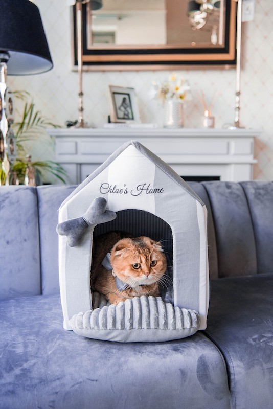 Budka dla psa lub kota MONTE CARLO szara | Chloe's Home | PETZWELCOME