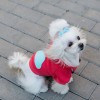 Dog hoodie CLOUD coral