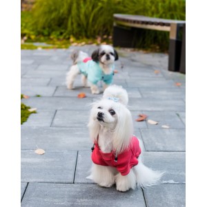 Bluza dla psa CLOUD coral | BB Republic | PETZWELCOME