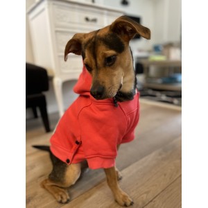 Dog hoodie CLOUD coral