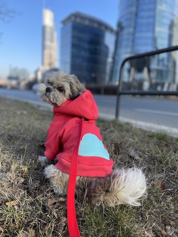 Dog hoodie CLOUD coral