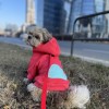 Dog hoodie CLOUD coral