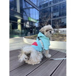 Bluza dla psa CLOUD azure| BB Republic | PETZWELCOME