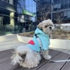 Dog hoodie CLOUD azure