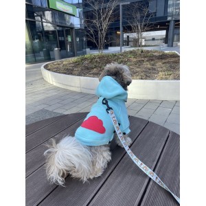 Dog hoodie CLOUD azure