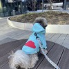 Dog hoodie CLOUD azure