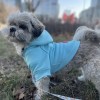 Dog hoodie CLOUD azure