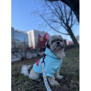 Dog hoodie CLOUD azure