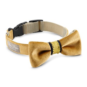 Luxury gold collar bow tie...