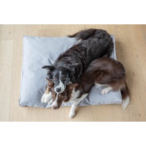 Poducha dla psa LOFT graphite | Bowl and Bone Republic | PETZWELCOME