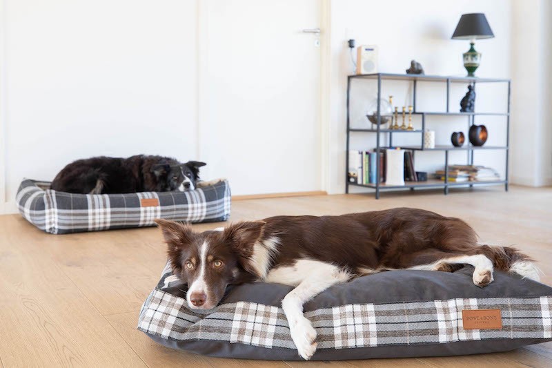 Poducha dla psa SCOTT szara | Bowl and Bone Republic | PETZWELCOME