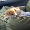BeBobi ERO SOFT Olive dog car seat | Bebobi | PETZWELCOME