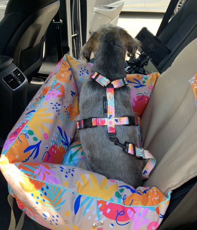Dog Car Seat BeBobi ERO SOFT how r u summer | Bebobi | PETZWELCOME