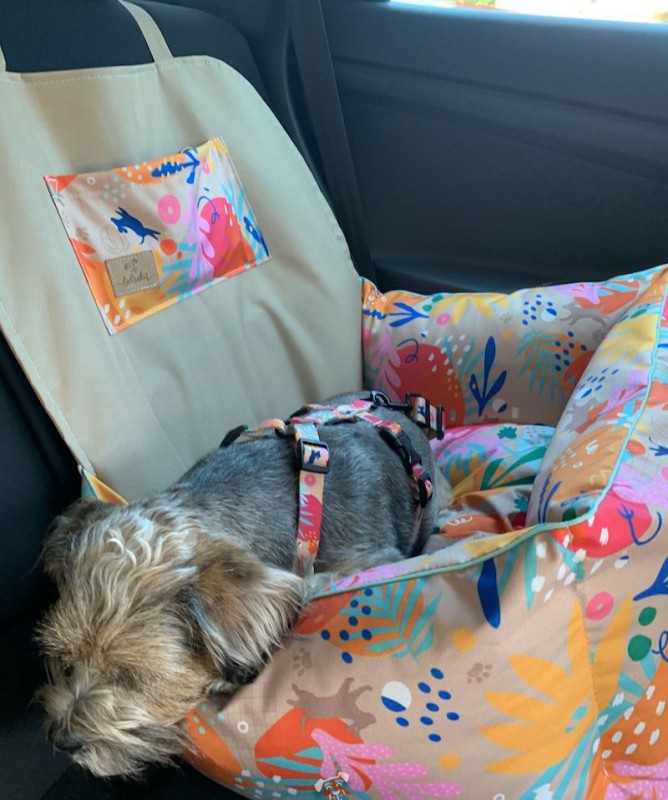 Dog Car Seat BeBobi ERO SOFT how r u summer | Bebobi | PETZWELCOME