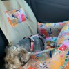 Dog Car Seat BeBobi ERO SOFT how r u summer | Bebobi | PETZWELCOME