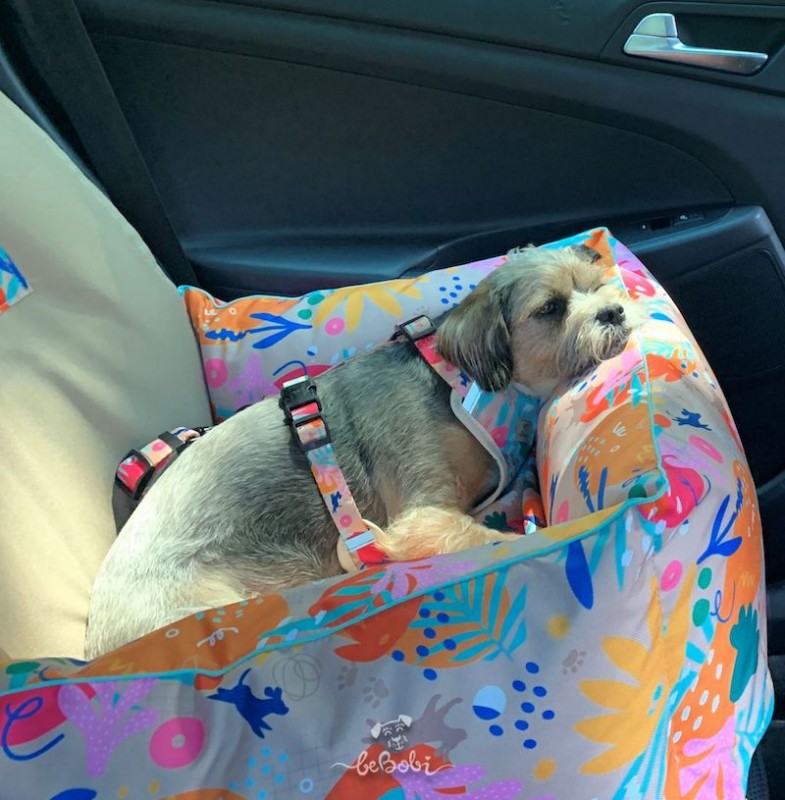 Dog Car Seat BeBobi ERO SOFT how r u summer | Bebobi | PETZWELCOME