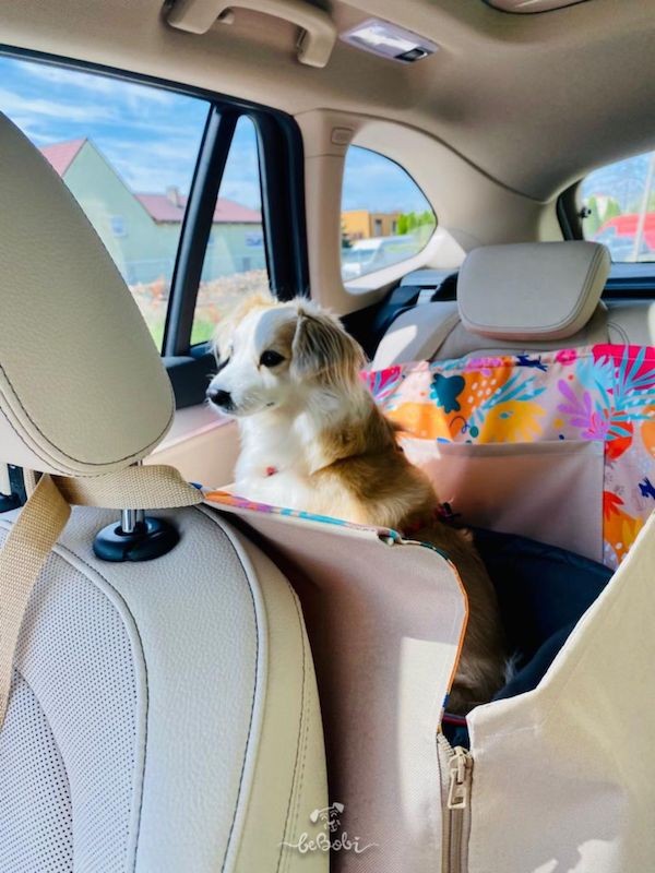 Car seat cover 1/2 „DENGU” How r u summer | Bebobi | PETZWELCOME