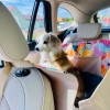 Car seat cover 1/2 „DENGU” How r u summer | Bebobi | PETZWELCOME