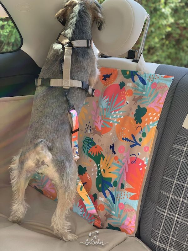 Pokrowiec do samochodu na siedzenie dla psa „DENGU” How r u summer| BeBobi | PETZWELCOME
