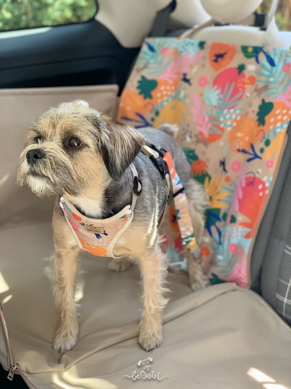 Car seat cover 1/2 „DENGU” How r u summer | Bebobi | PETZWELCOME