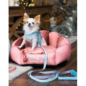 Adjustable leash BAHAMAS blue | Chloe's Home | PETZWELCOME
