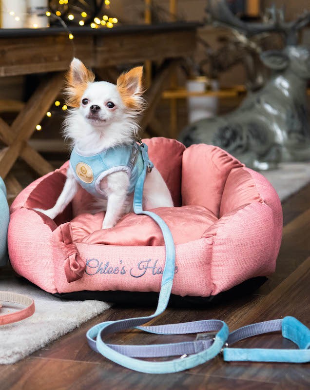 Smycz przepinana BAHAMAS niebieska| Chloe's Home | PETZWELCOME