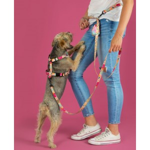 Szelki bezuciskowe guard AirTag HOW R YOU SUMMER BeBobi| PETZWELCOME