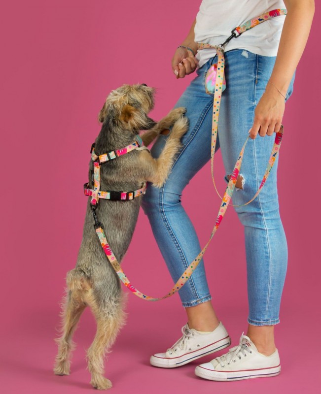 Szelki bezuciskowe guard AirTag HOW R YOU SUMMER BeBobi| PETZWELCOME