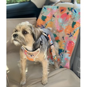 Szelki bezuciskowe guard AirTag HOW R YOU SUMMER BeBobi| PETZWELCOME