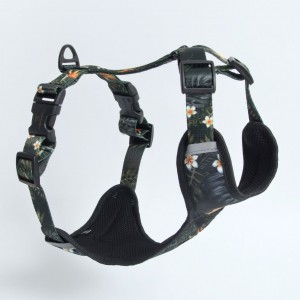 Pressure-free harness for a...