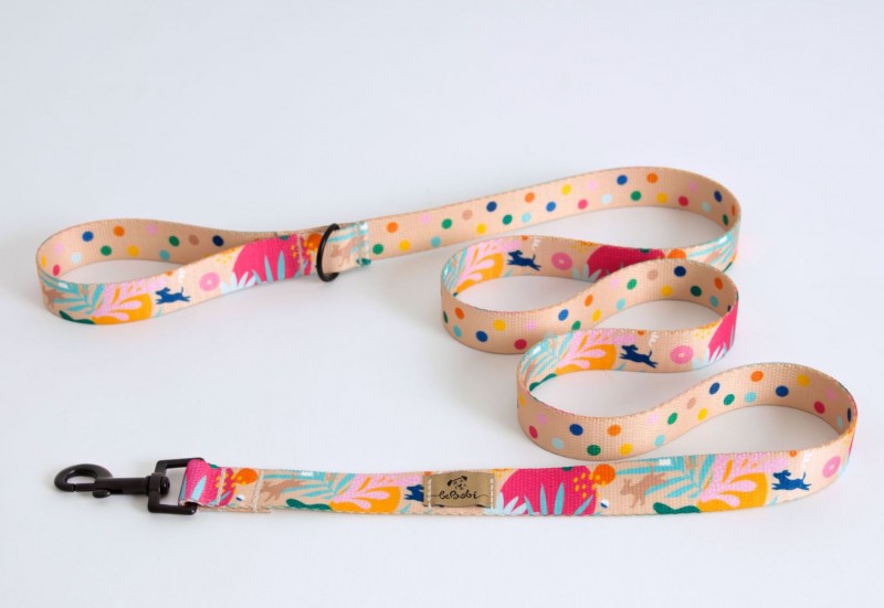 Smycz miejska dla psa How are you summer | BE BOBI | PETZWELCOME