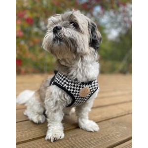 Harness vest Chloe's Home Porto green | CHLOE'S HOME | PETZWELCOME