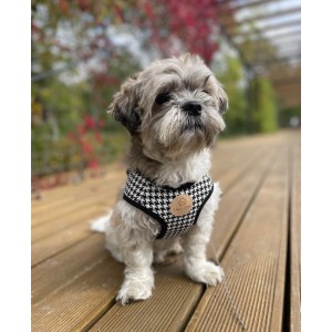 Harness vest Chloe's Home Porto green | CHLOE'S HOME | PETZWELCOME