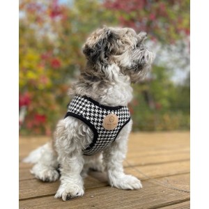 Szelki kamizelka Chloe's Home Porto zielone| CHLOE'S HOME | PETZWELCOME