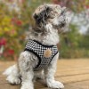 Harness vest Chloe's Home Porto green | CHLOE'S HOME | PETZWELCOME
