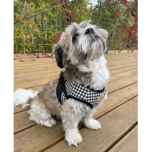 Harness vest Chloe's Home Porto black| CHLOE'S HOME | PETZWELCOME