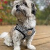 Harness vest Chloe's Home Porto black| CHLOE'S HOME | PETZWELCOME