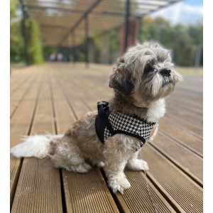 Harness vest Chloe's Home Porto black| CHLOE'S HOME | PETZWELCOME