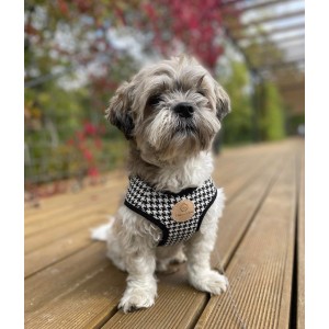 Szelki kamizelka Porto czarne | CHLOE'S HOME | PETZWELCOME