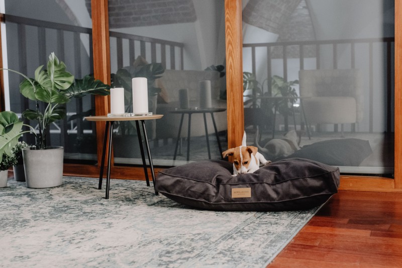 CLASSIC gray dog cushion