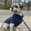 Dog sweater ASPEN navy | Bowl and Bone Republic | PETZWELCOME
